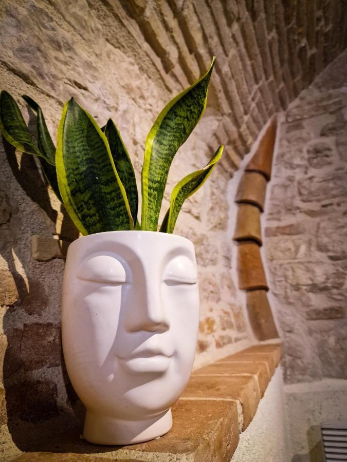 O Rosa Bella Appartamento Via Savelli Della Porta 24 Gubbio Exteriér fotografie